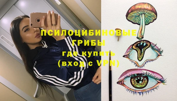 ГАЛЛЮЦИНОГЕННЫЕ ГРИБЫ Баксан