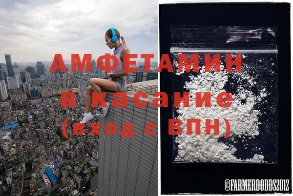 ГАЛЛЮЦИНОГЕННЫЕ ГРИБЫ Баксан