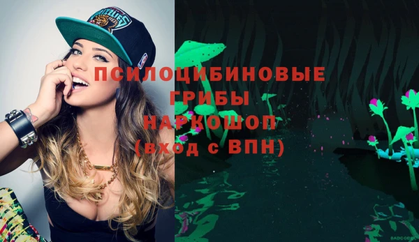 ГАЛЛЮЦИНОГЕННЫЕ ГРИБЫ Баксан